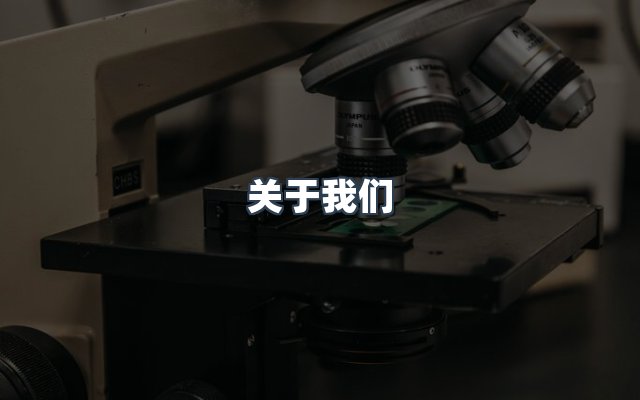 团队合作